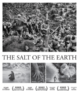 The Salt of The Earth